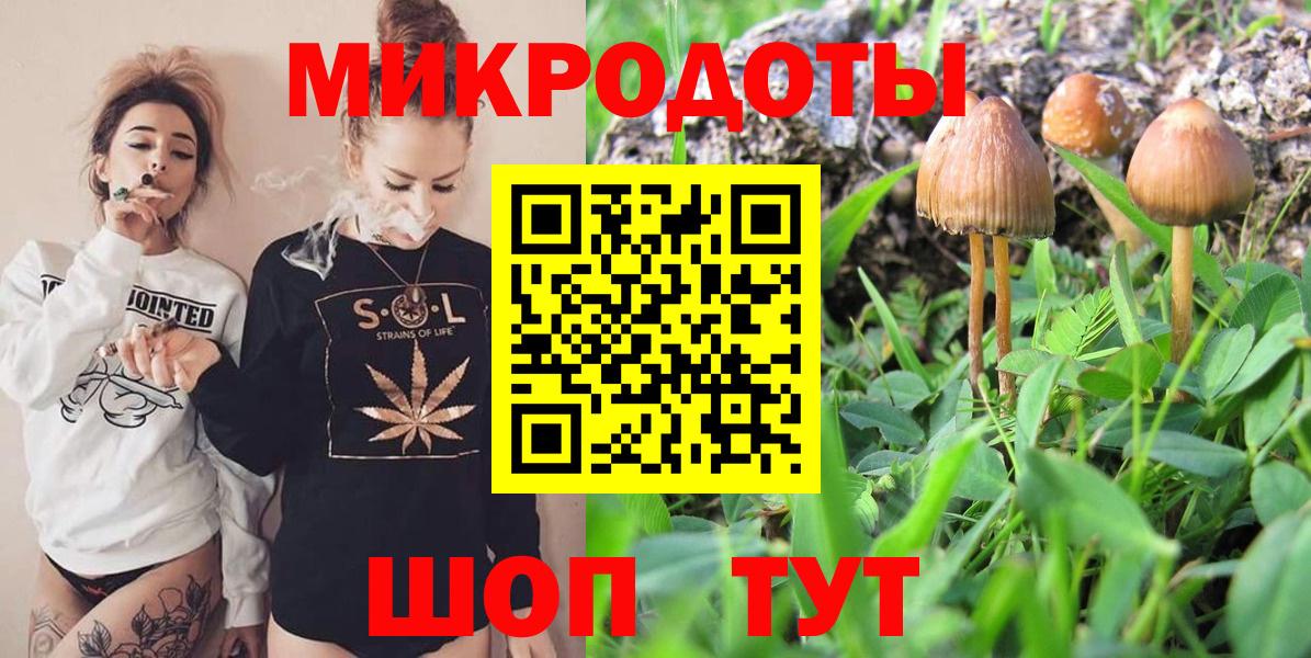 Галлюциногенные грибы Magic Shrooms  Псилоцибиновые грибы GOLDEN TEACHER  купить закладку  Вход с VPN  Стерлитамак 