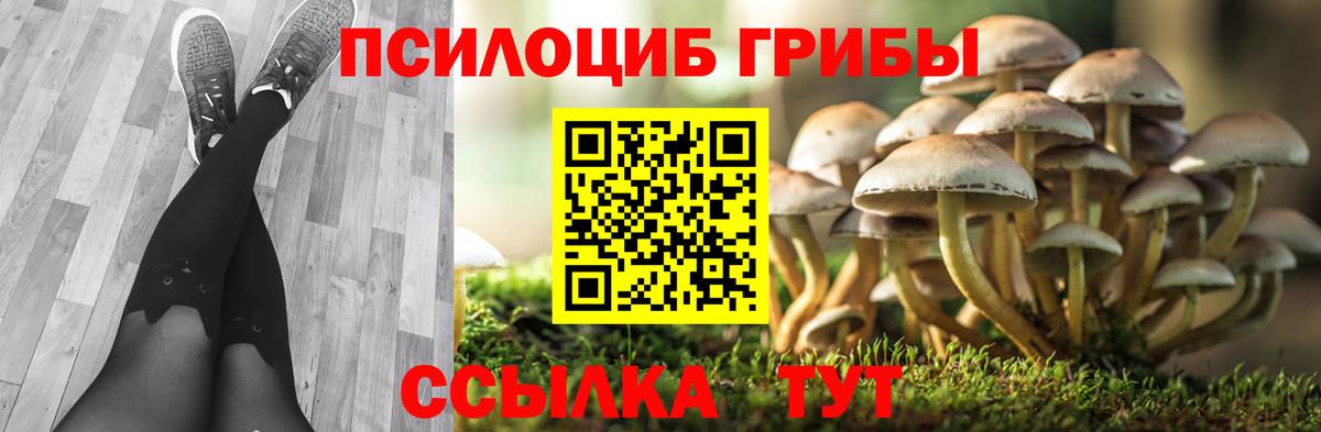Псилоцибиновые грибы Psilocybine cubensis Стерлитамак